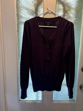 Banana Republic M Women's Deep Purple V-Neck Sweater with Front Tie